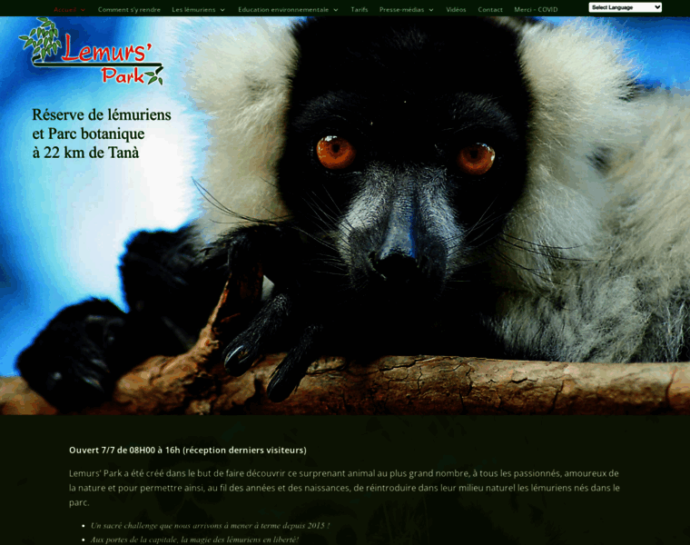 Lemurspark.com thumbnail
