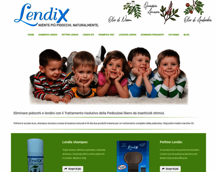 Lendix.it thumbnail