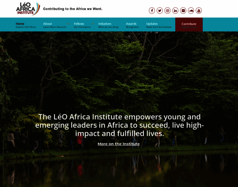 Leoafricainstitute.org thumbnail