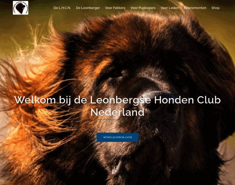 Leonberger.nl thumbnail