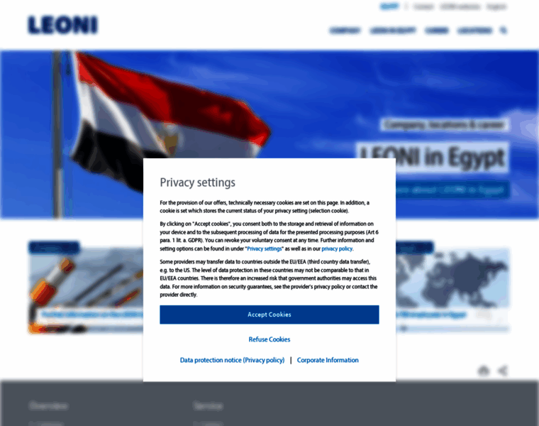 Leoni-egypt.com thumbnail