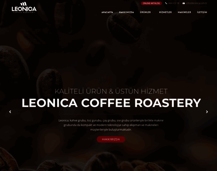 Leonica.com.tr thumbnail