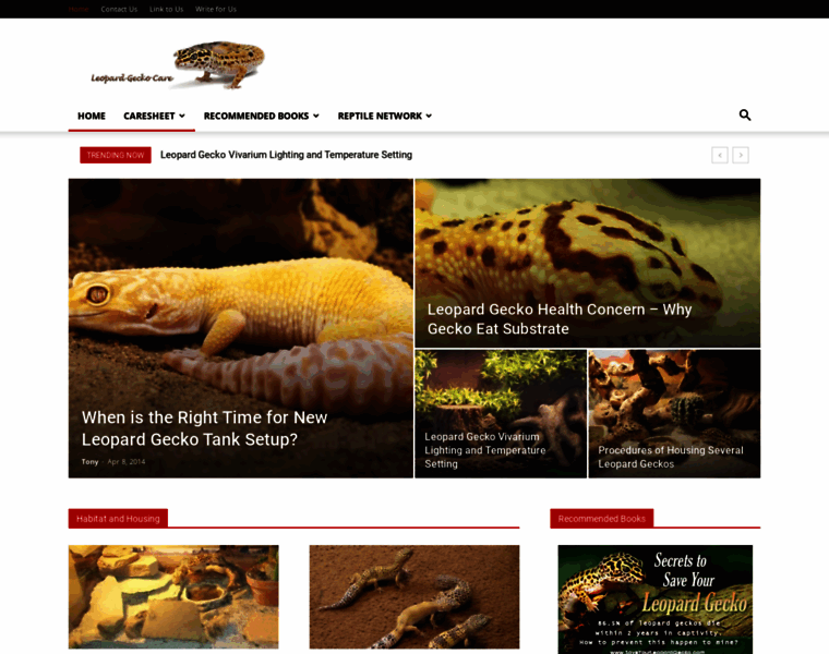 Leopardgeckocare.net thumbnail
