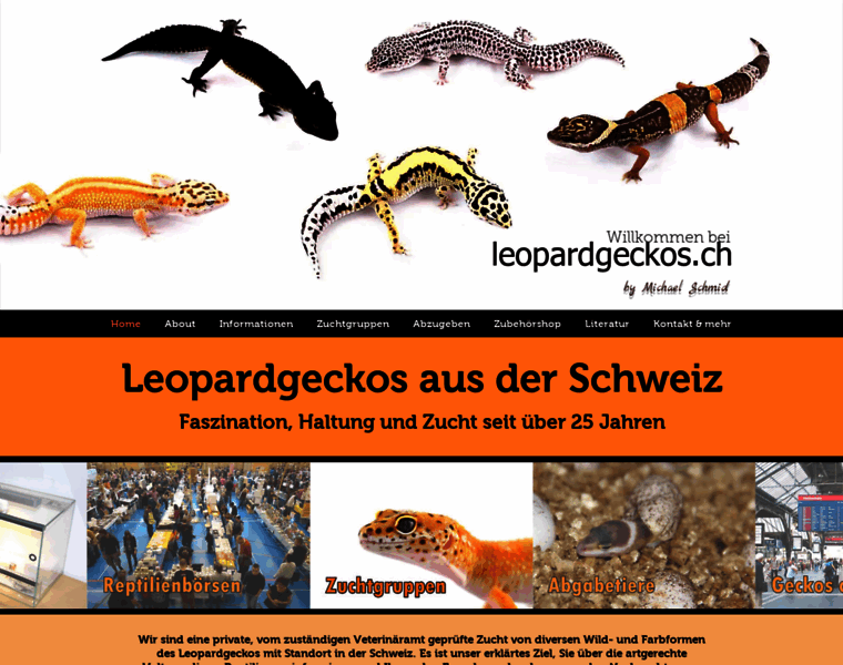 Leopardgeckos.ch thumbnail