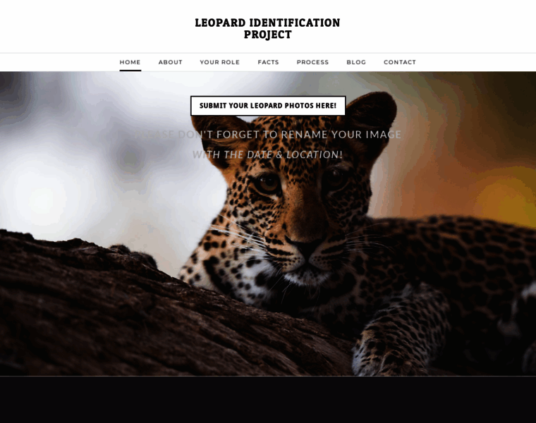 Leopardidproject.com thumbnail