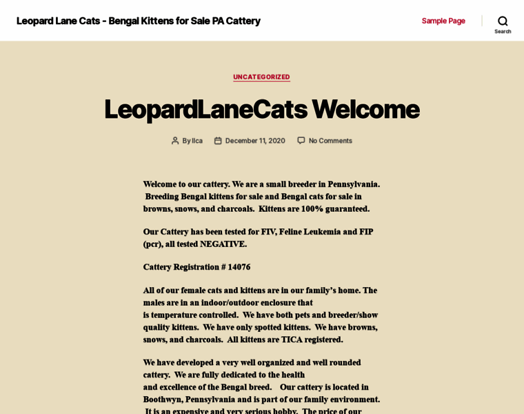 Leopardlanecats.com thumbnail