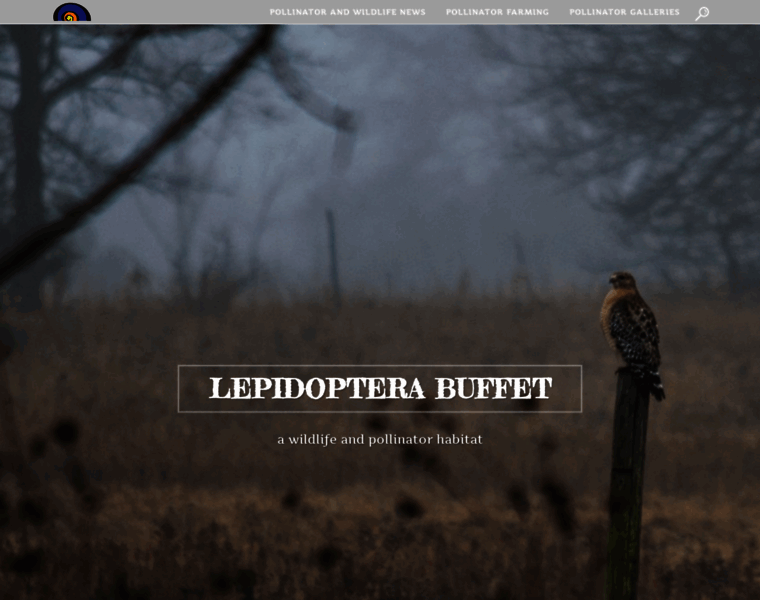 Lepidoptera-buffet.org thumbnail