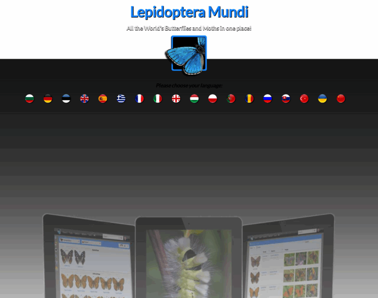 Lepidoptera.eu thumbnail