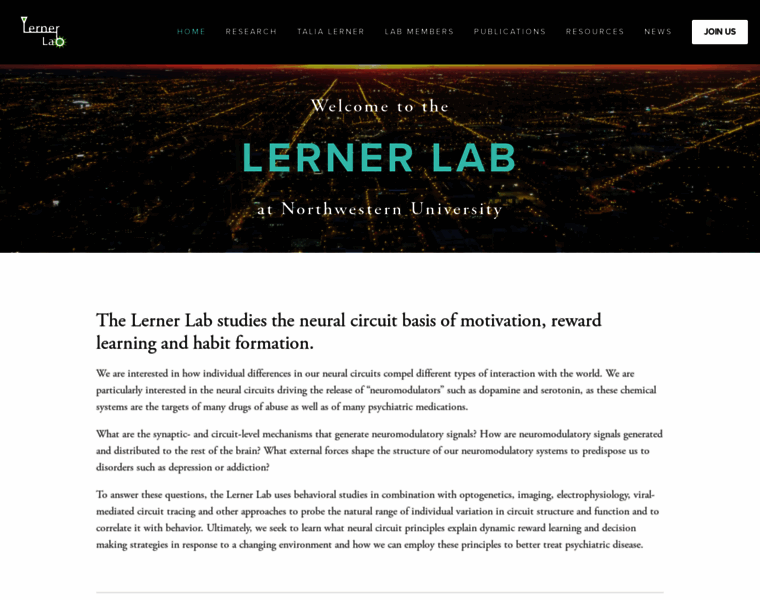 Lernerlab.org thumbnail