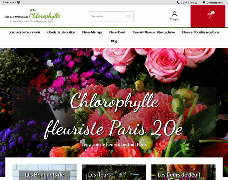 Les-surprises-de-chlorophylle.com thumbnail