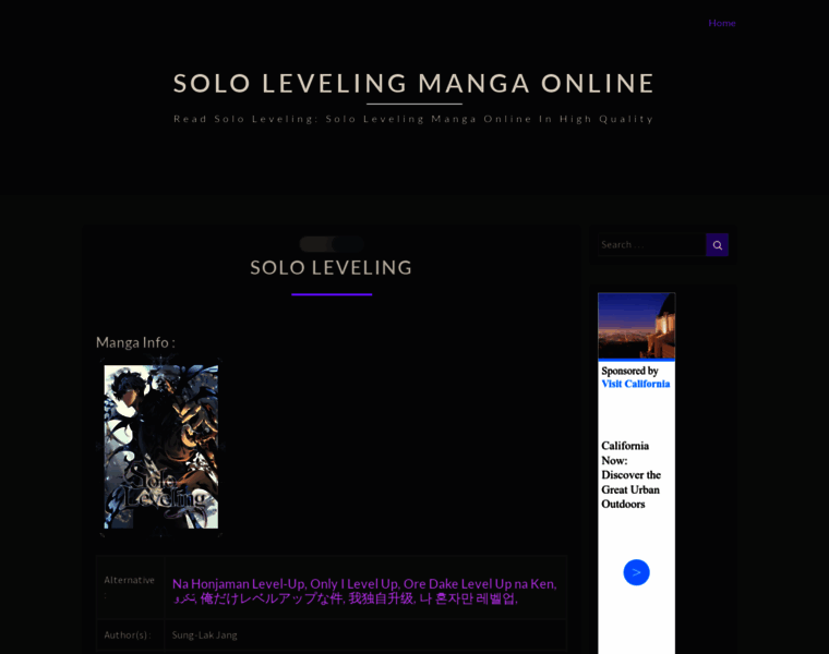 Leveling-solo.org thumbnail