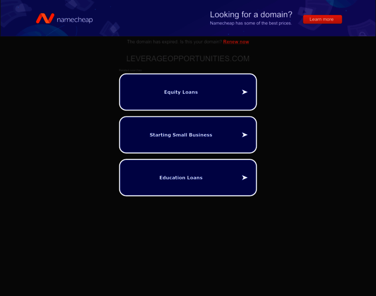 Leverageopportunities.com thumbnail