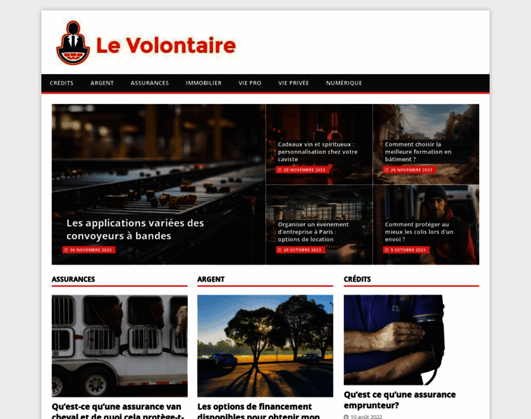 Levolontaire.fr thumbnail