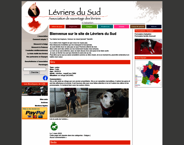 Levriers-du-sud.org thumbnail