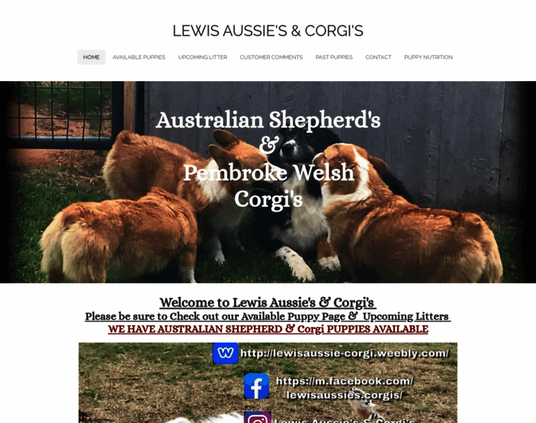 Lewisaussie-corgi.com thumbnail