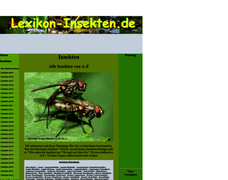 Lexikon-insekten.de thumbnail