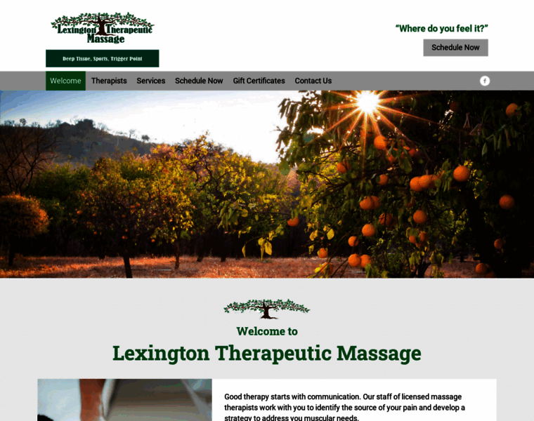 Lexingtontherapeuticmassage.com thumbnail