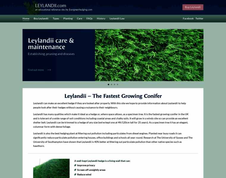 Leylandii.com thumbnail