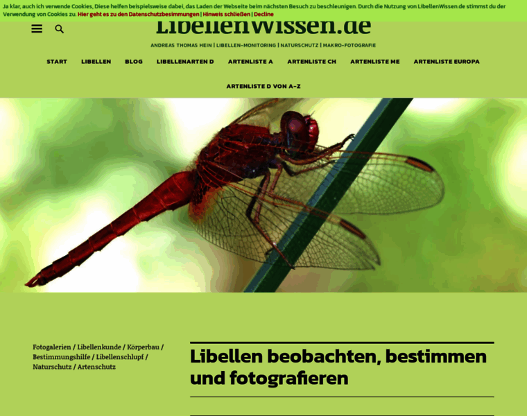 Libellenwissen.de thumbnail