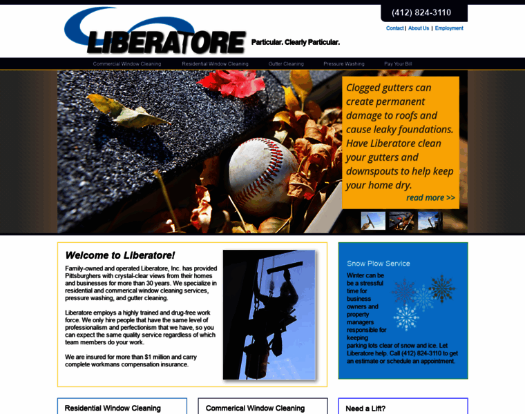 Liberatorewindows.com thumbnail