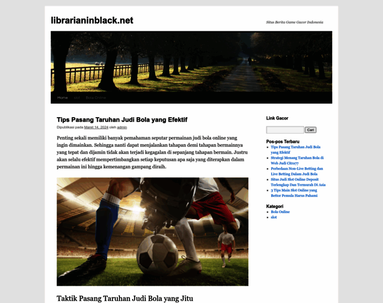 Librarianinblack.net thumbnail