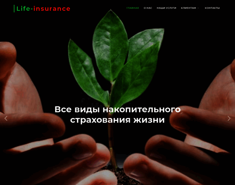Life-insurance.by thumbnail