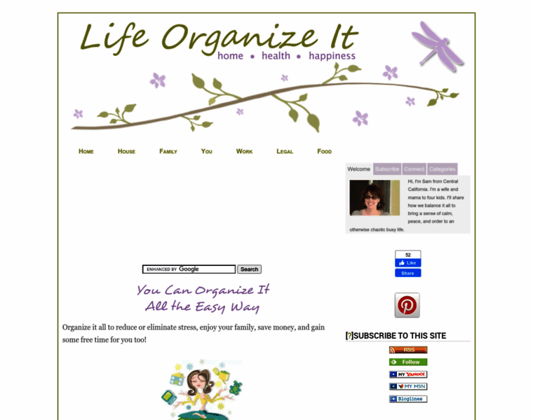 Lifeorganizeit.com thumbnail