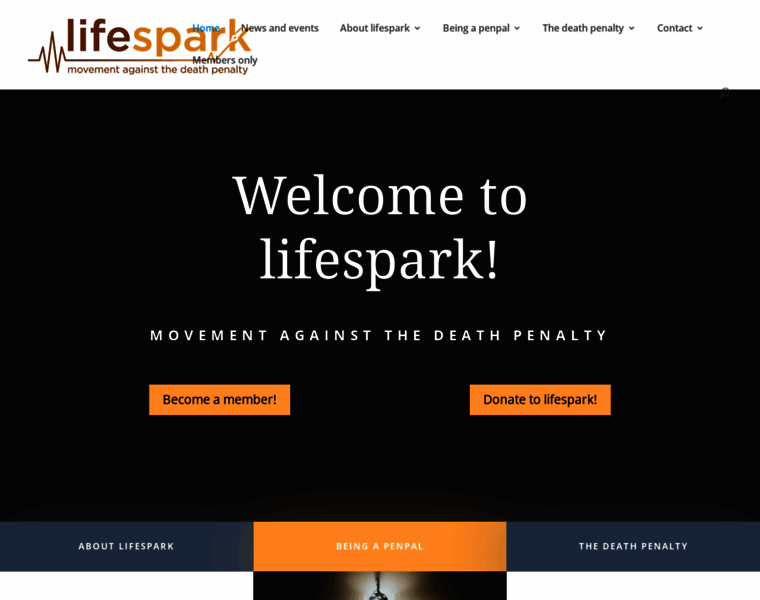 Lifespark.org thumbnail