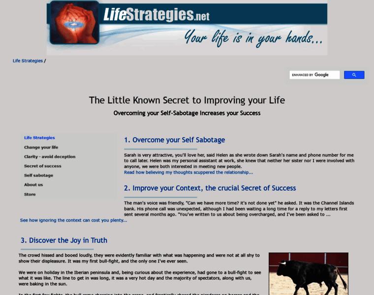Lifestrategies.net thumbnail