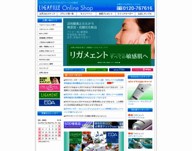 Ligafille.co.jp thumbnail