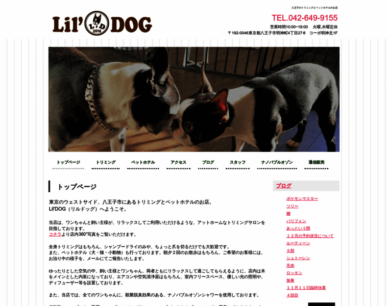 Lil-dog.jp thumbnail