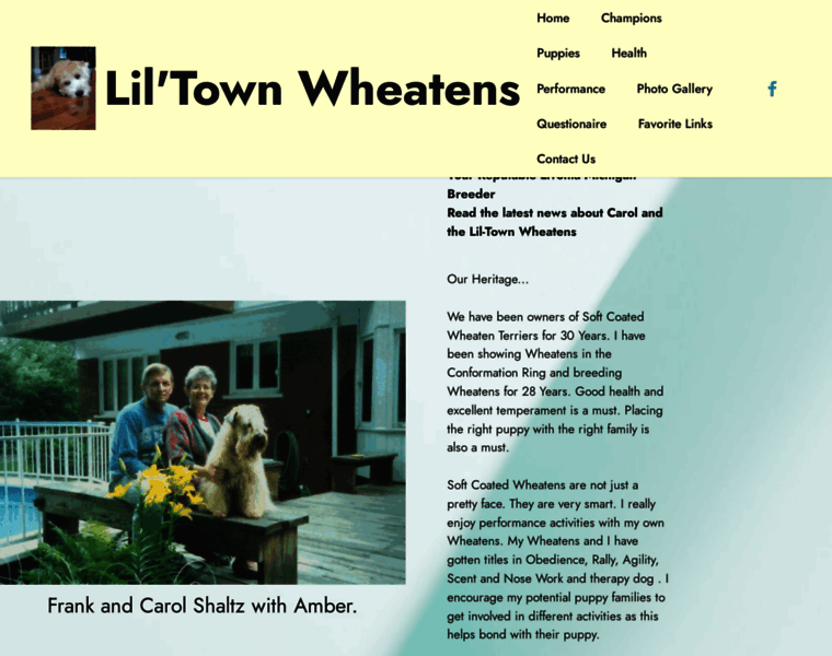 Lil-townwheatens.com thumbnail