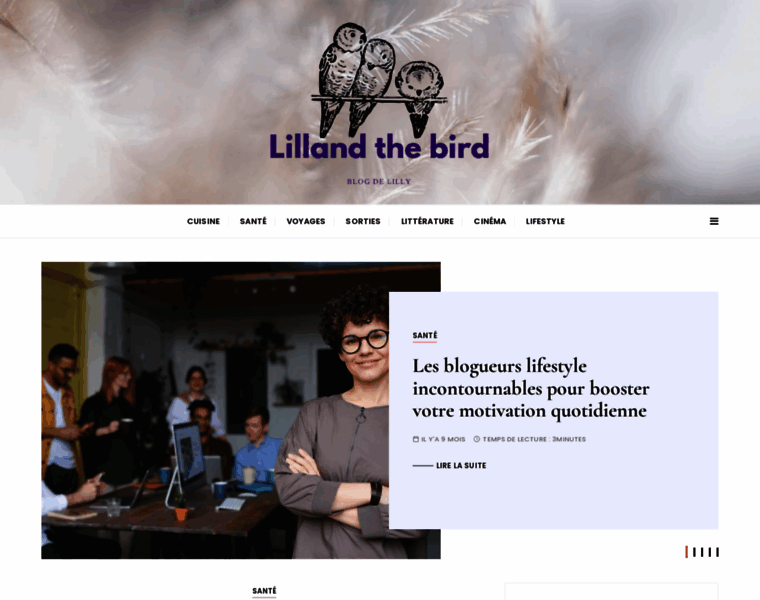 Lillandthebirds.com thumbnail