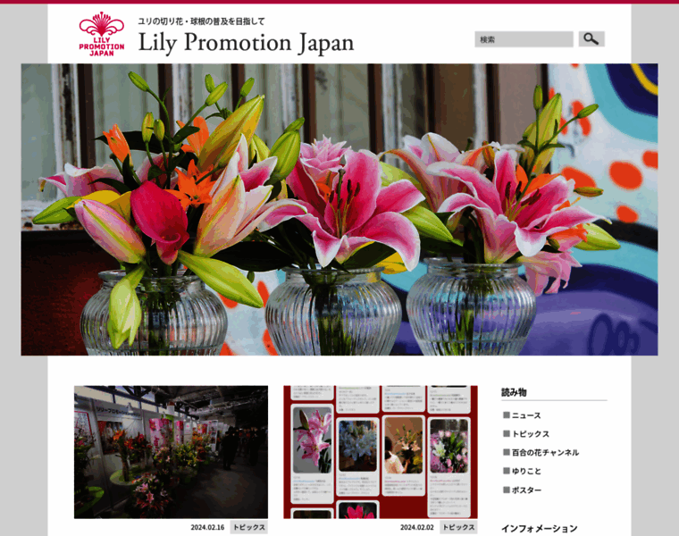 Lily-promotion.jp thumbnail