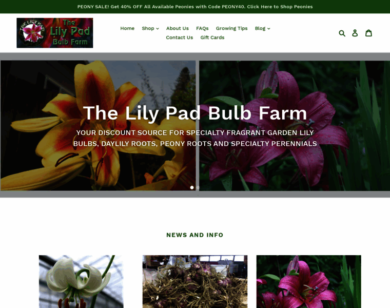 Lilypadbulbs.com thumbnail
