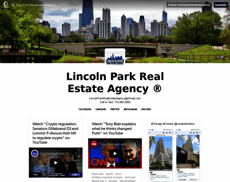 Lincolnparkrealestateagency.com thumbnail
