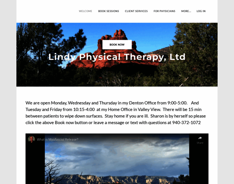 Lindyphysicaltherapy.com thumbnail