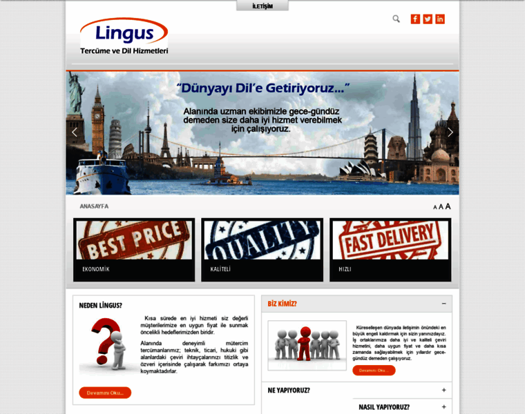 Lingus.com.tr thumbnail