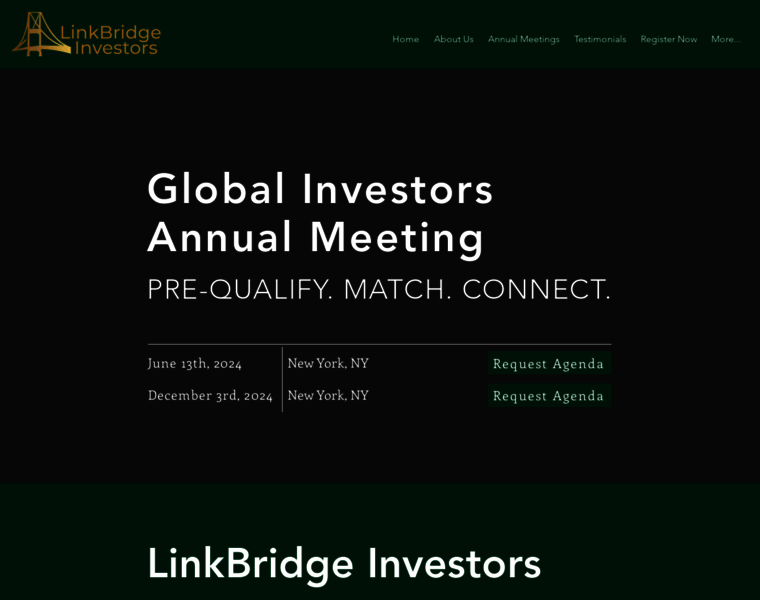 Linkbridgeinvestors.com thumbnail