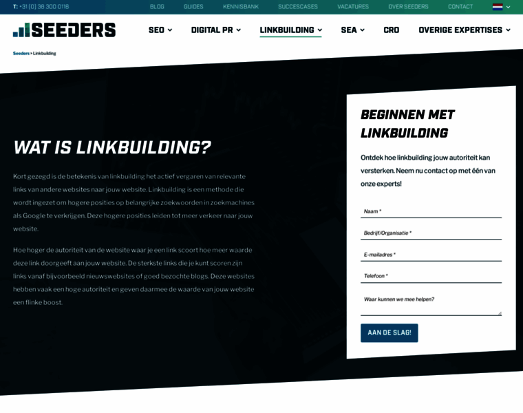 Linkbuildingservicecompany.com thumbnail