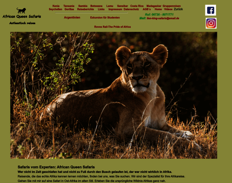Lion-king-safaris.de thumbnail