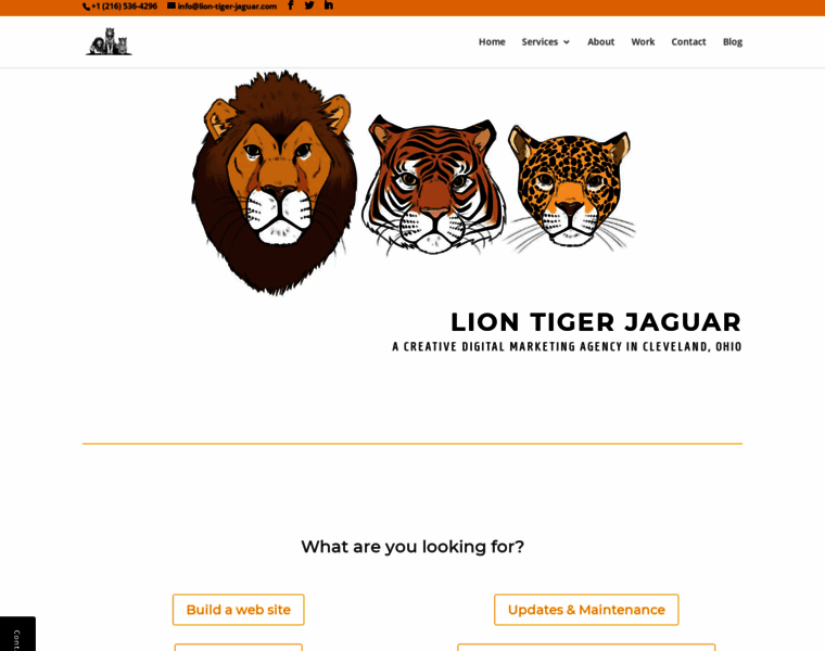 Lion-tiger-jaguar.com thumbnail