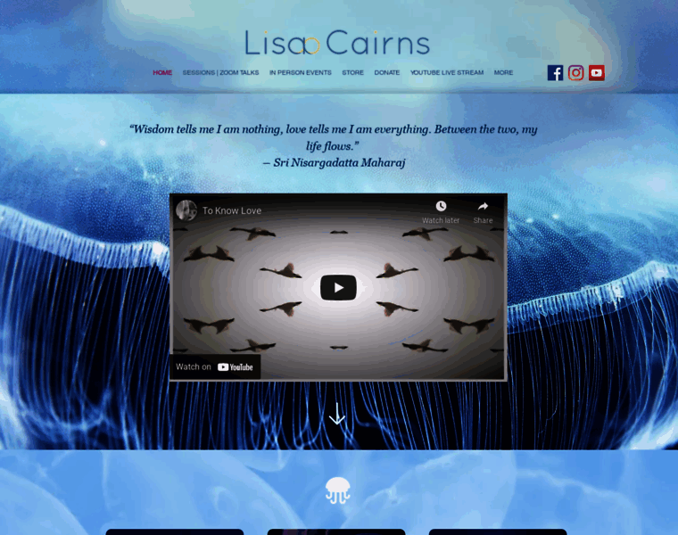Lisacairns.com thumbnail