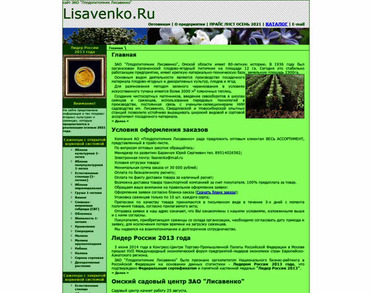 Lisavenko.ru thumbnail