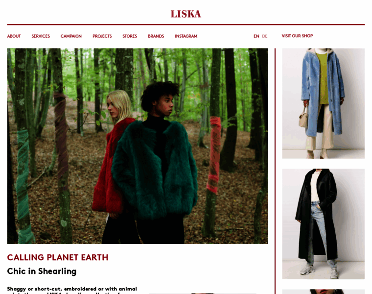 Liska.co.at thumbnail