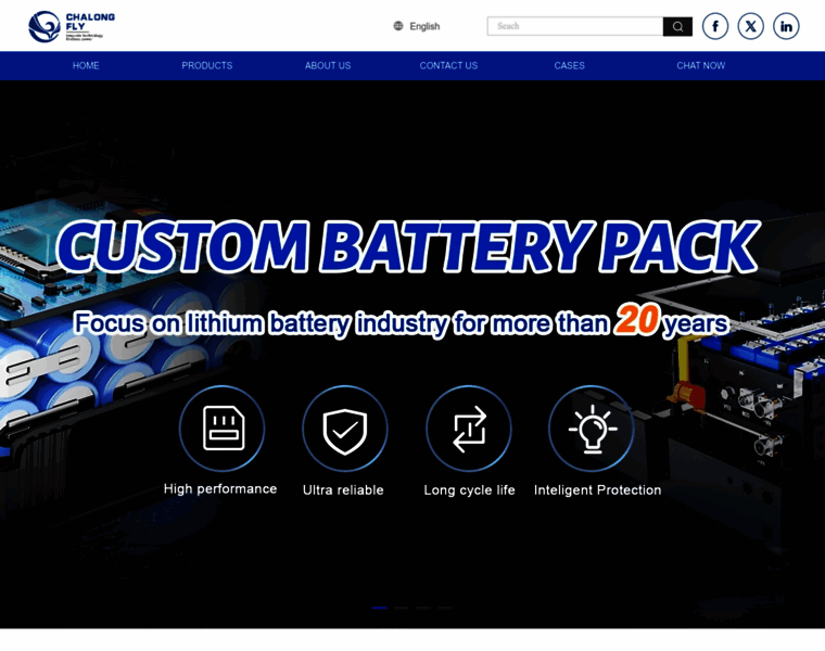 Lithium-batterypack.com thumbnail