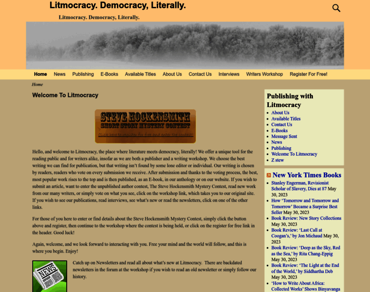 Litmocracy.com thumbnail