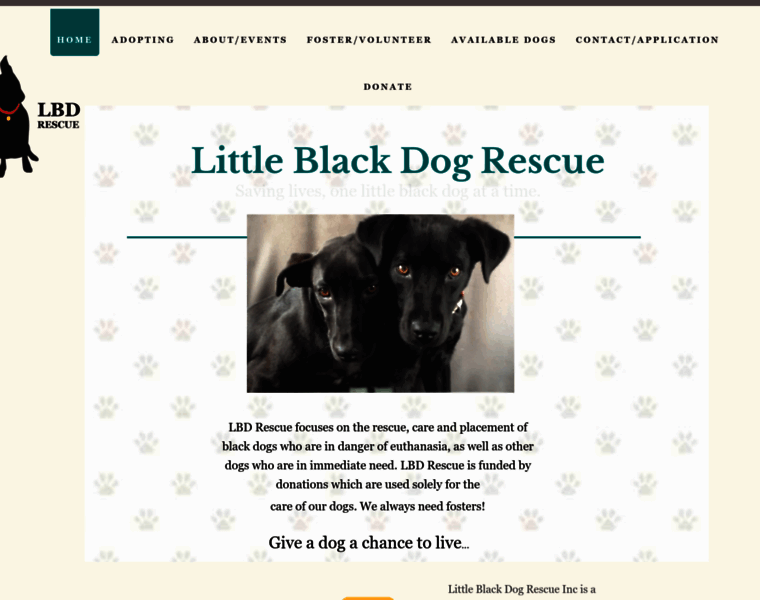 Littleblackdogrescue.org thumbnail