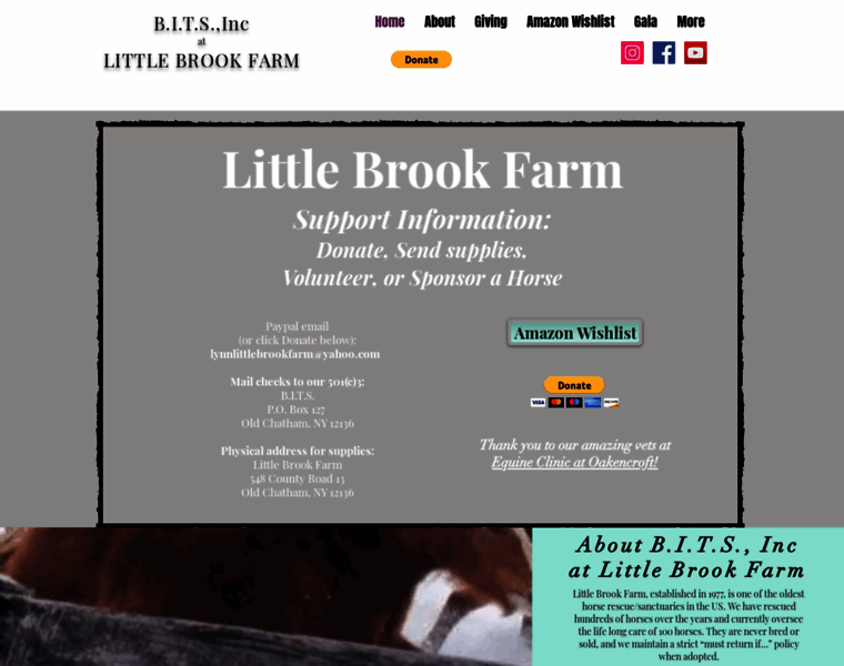 Littlebrookfarmsanctuary.org thumbnail
