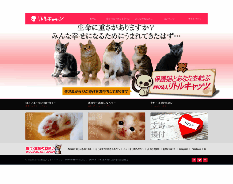 Littlecats.jp thumbnail